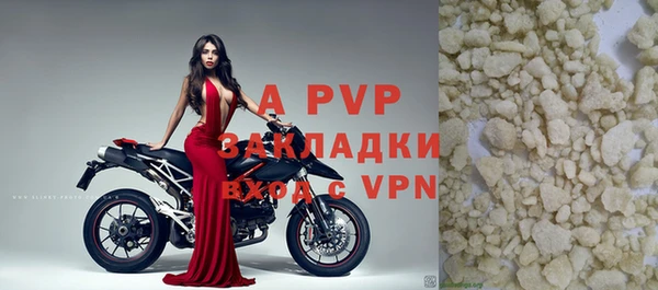прущие грибы Балабаново
